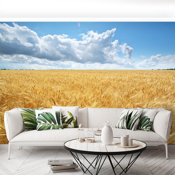 Fototapeta Vliesová Pšeničné polia 104x70 cm