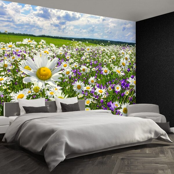 Fototapeta Vliesová Lúky a kvety 152x104 cm