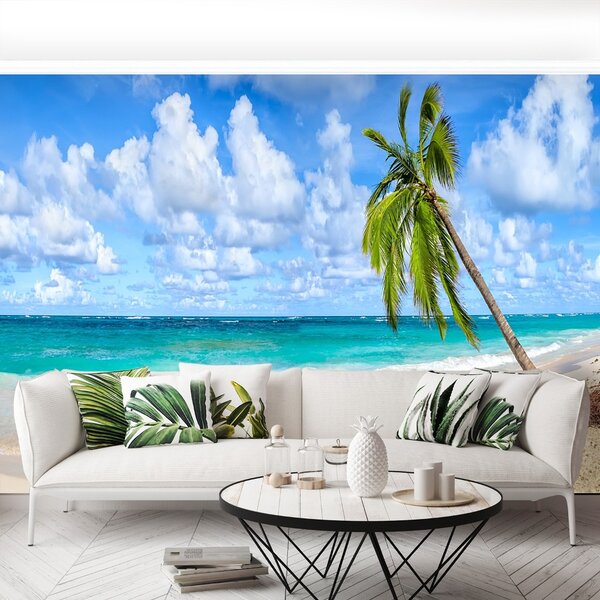 Fototapeta Vliesová Kokosová palma 104x70 cm