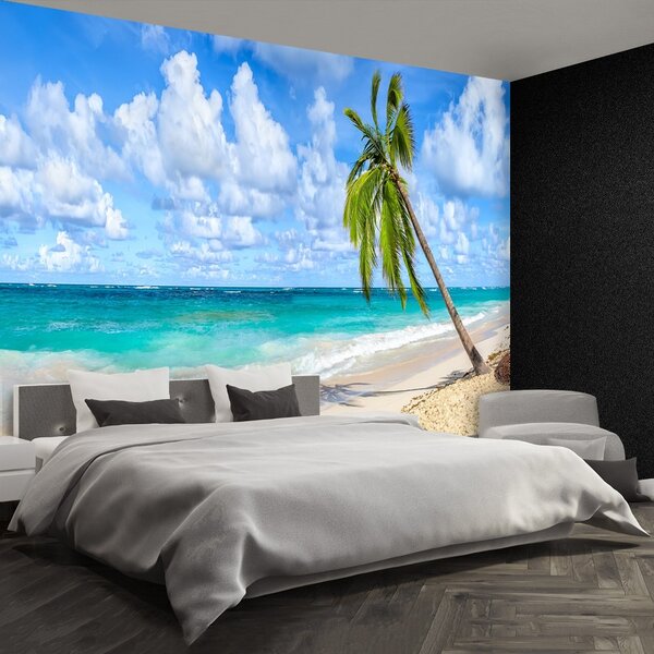 Fototapeta Vliesová Kokosová palma 104x70 cm