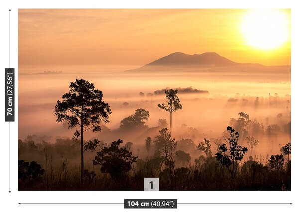 Fototapeta Vliesová Savana 104x70 cm