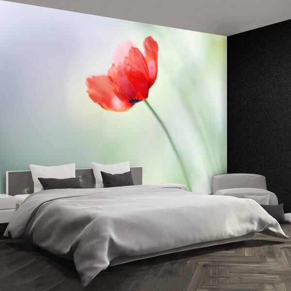 Fototapeta Vliesová Červený mak 104x70 cm