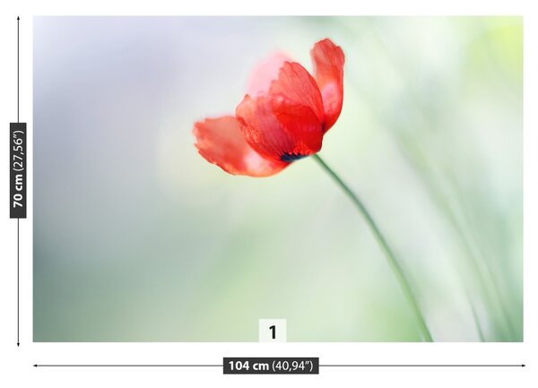 Fototapeta Vliesová Červený mak 104x70 cm