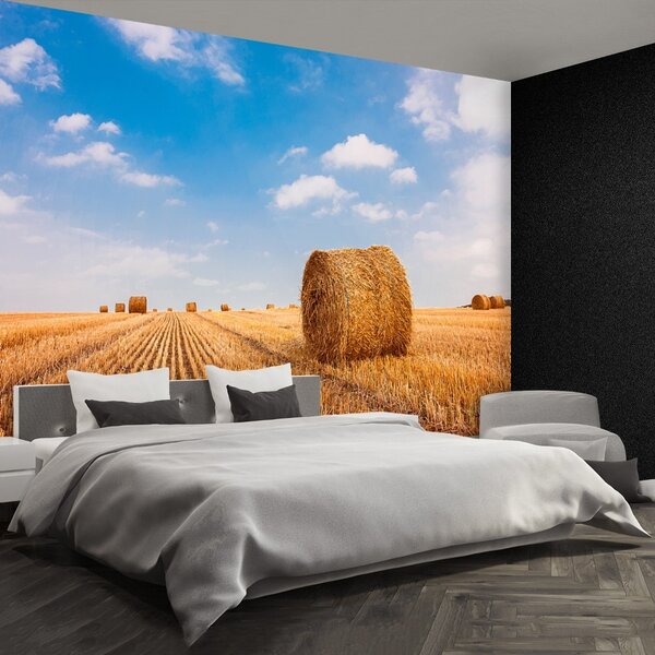 Fototapeta Vliesová Balíky slamy 104x70 cm