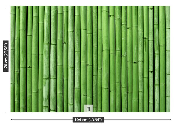 Fototapeta Vliesová Bambusová zelená 104x70 cm