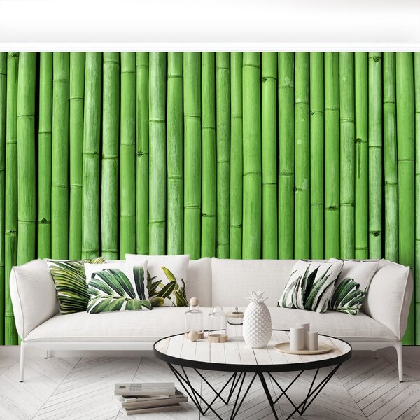 Fototapeta Vliesová Bambusová zelená 104x70 cm