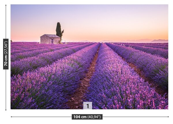 Fototapeta Vliesová Provence levandule 104x70 cm