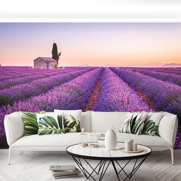 Fototapeta Vliesová Provence levandule 104x70 cm