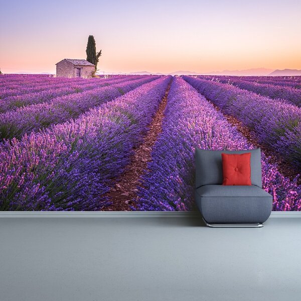 Fototapeta Vliesová Provence levandule 104x70 cm