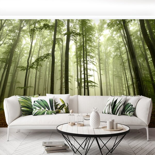 Fototapeta Vliesová Hmlistý les 104x70 cm
