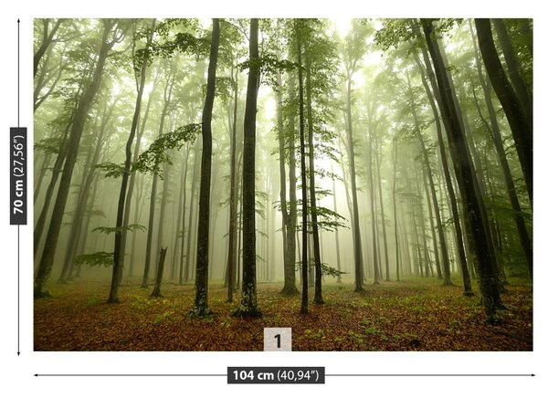 Fototapeta Vliesová Hmlistý les 104x70 cm