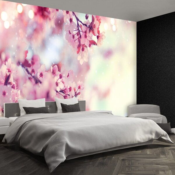 Fototapeta Vliesová Čerešňové kvety 104x70 cm