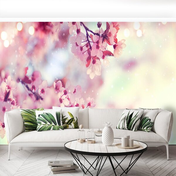 Fototapeta Vliesová Čerešňové kvety 104x70 cm