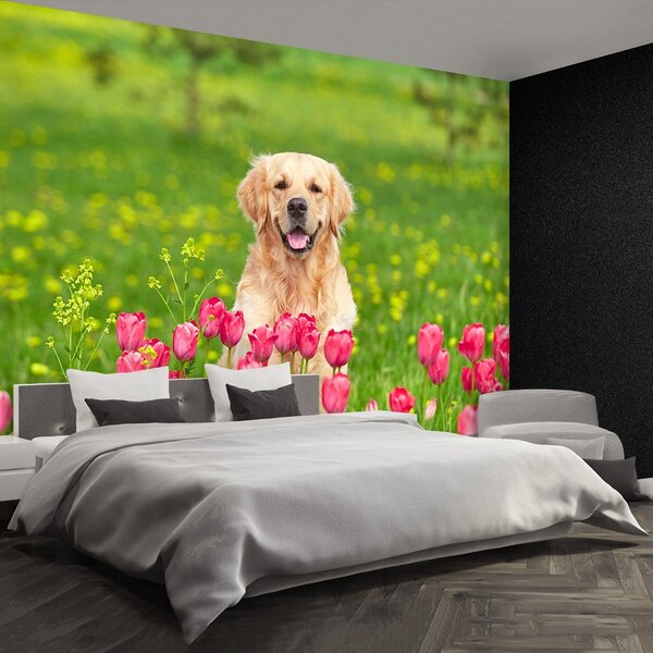 Fototapeta Vliesová Psie tulipány 104x70 cm