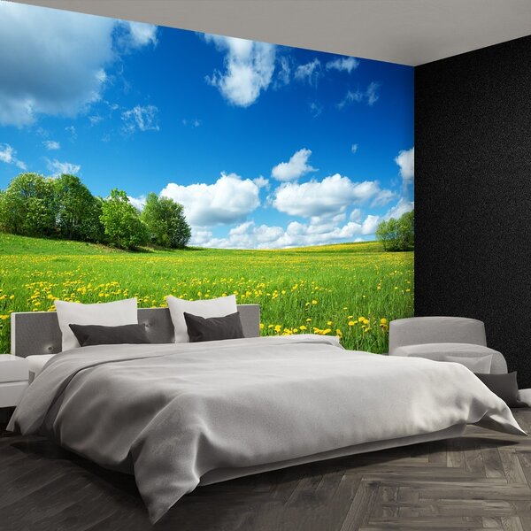 Fototapeta Vliesová Žlté púpavy 104x70 cm