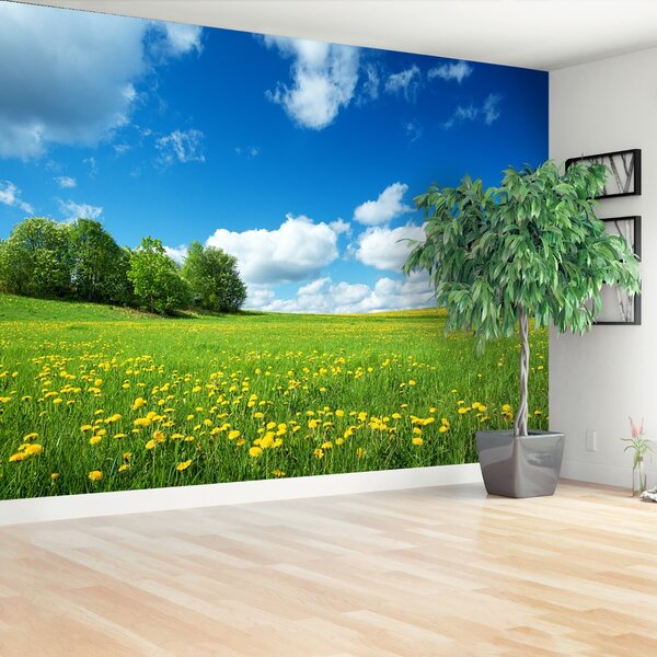 Fototapeta Vliesová Žlté púpavy 104x70 cm