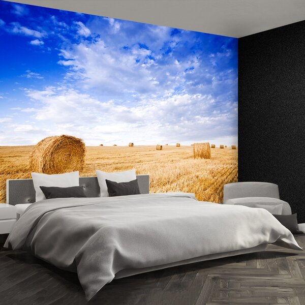 Fototapeta Vliesová Zlaté polia 104x70 cm