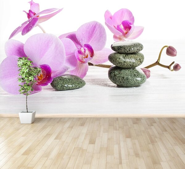 Fototapeta Vliesová Kúpele orchidea 104x70 cm