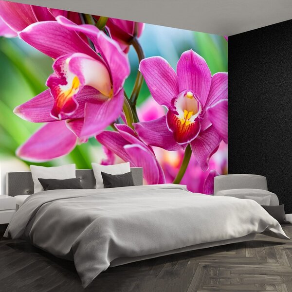 Fototapeta Vliesová Ružové orchidey 104x70 cm