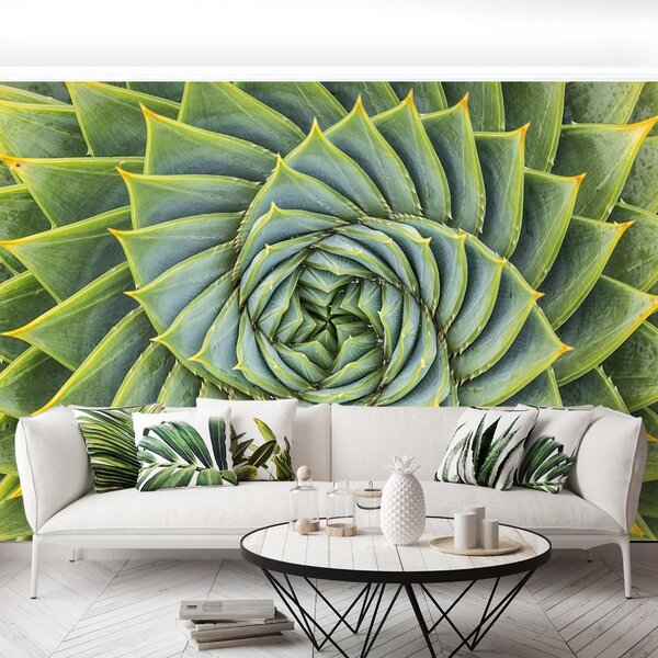 Fototapeta Vliesová Aloe symmetry 104x70 cm
