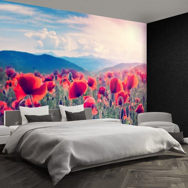 Fototapeta Vliesová Makové kvety 104x70 cm