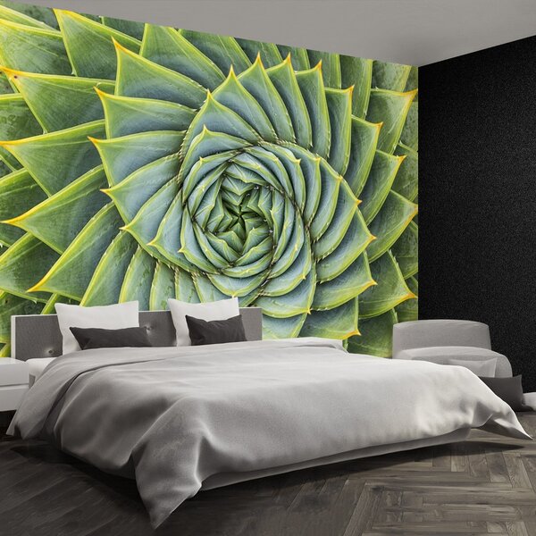 Fototapeta Vliesová Aloe symmetry 104x70 cm