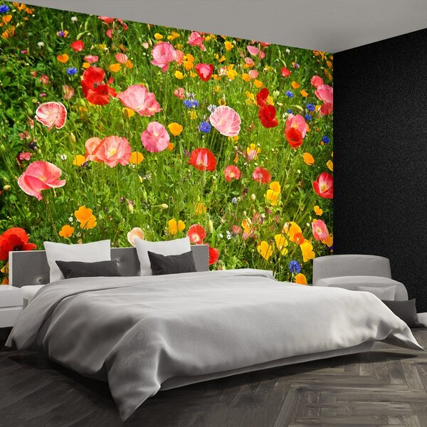 Fototapeta Vliesová Lúčne kvety 104x70 cm