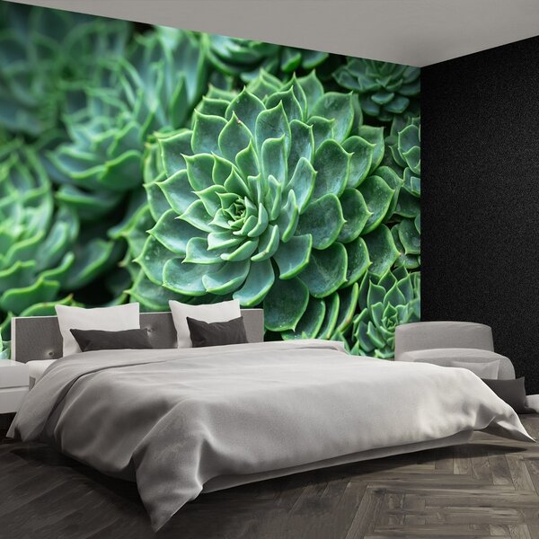 Fototapeta Vliesová Zelený kaktus 104x70 cm