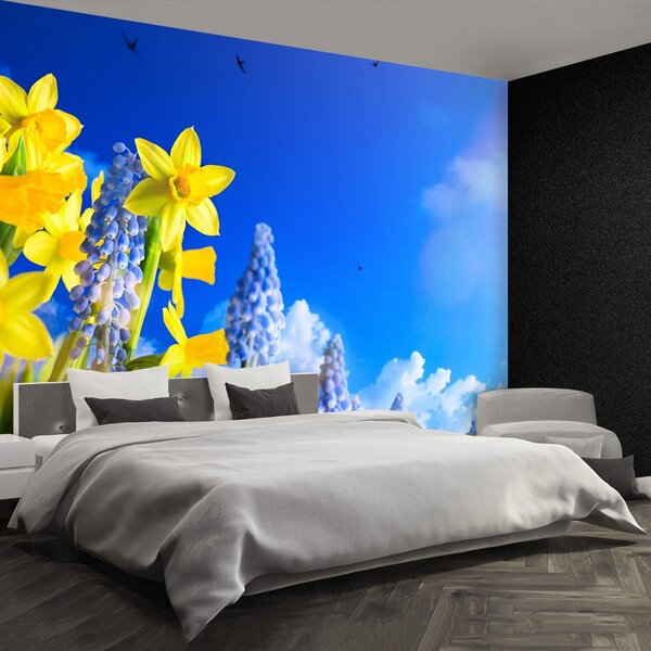 Fototapeta Vliesová Modrý narcis 104x70 cm
