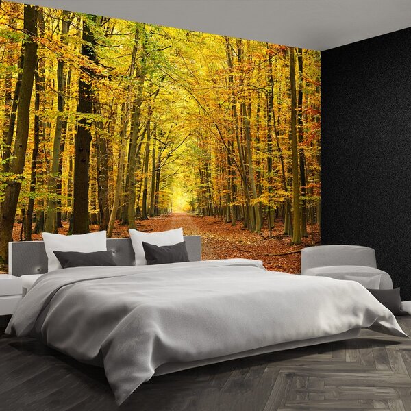 Fototapeta Vliesová Jesenná alej 104x70 cm