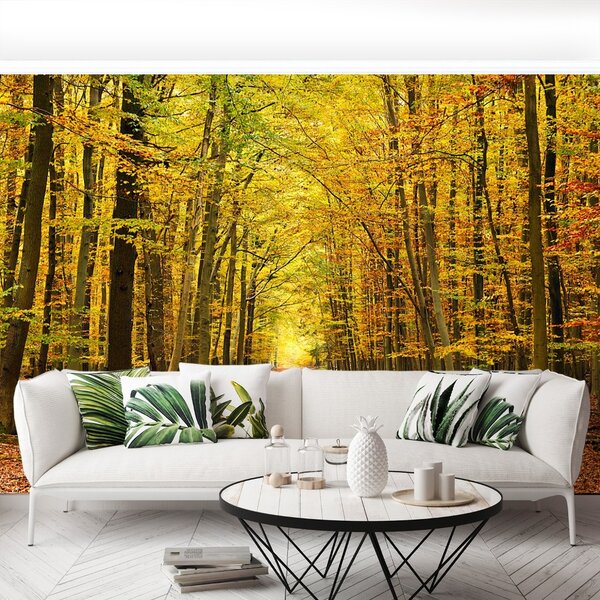 Fototapeta Vliesová Jesenná alej 104x70 cm