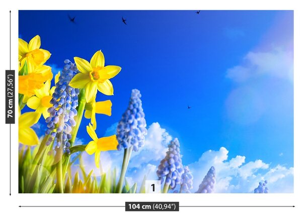 Fototapeta Vliesová Modrý narcis 104x70 cm