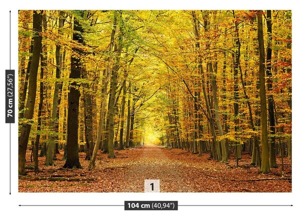 Fototapeta Vliesová Jesenná alej 104x70 cm