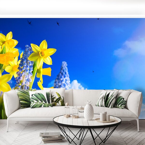 Fototapeta Vliesová Modrý narcis 104x70 cm