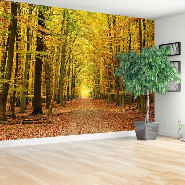 Fototapeta Vliesová Jesenná alej 104x70 cm