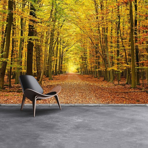Fototapeta Vliesová Jesenná alej 104x70 cm
