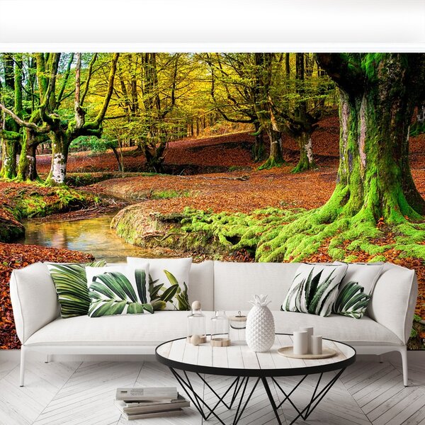 Fototapeta Vliesová Jesenné les 152x104 cm
