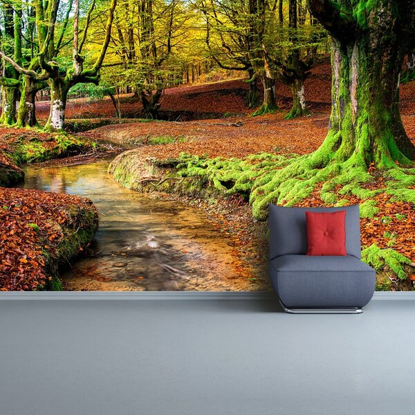Fototapeta Vliesová Jesenné les 152x104 cm