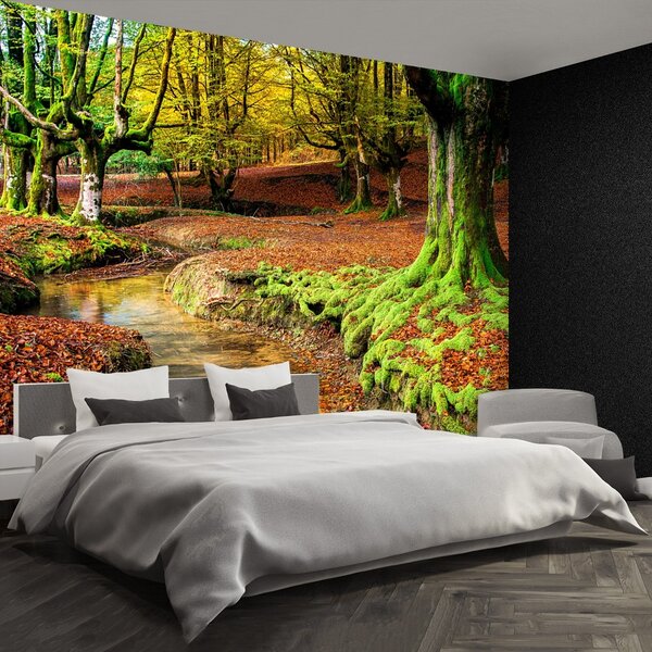Fototapeta Vliesová Jesenné les 152x104 cm