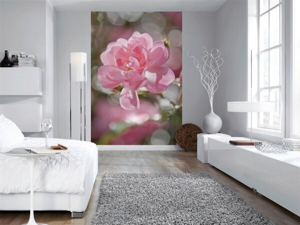 FOTOTAPETA velikost: 184/254 cm - Online Only bytové doplnky, Online Only