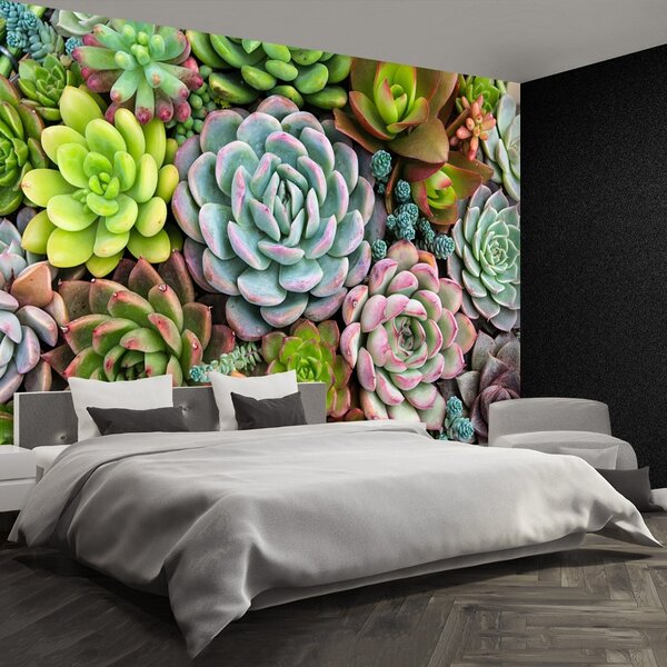 Fototapeta Vliesová Skalné rastliny 104x70 cm