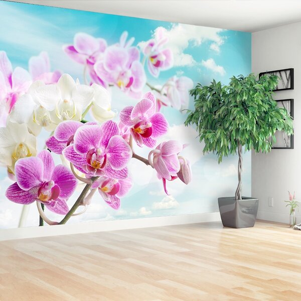 Fototapeta Vliesová Orchidey modrá 104x70 cm