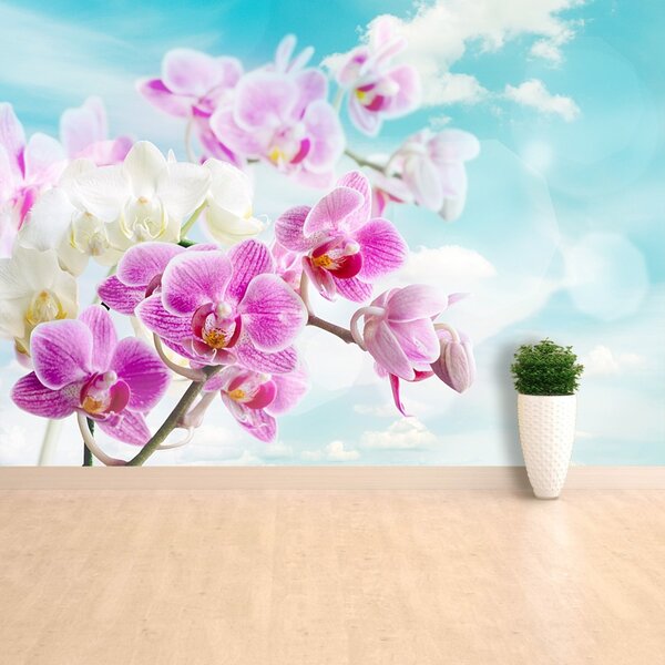 Fototapeta Vliesová Orchidey modrá 104x70 cm
