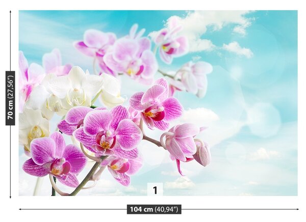 Fototapeta Vliesová Orchidey modrá 104x70 cm