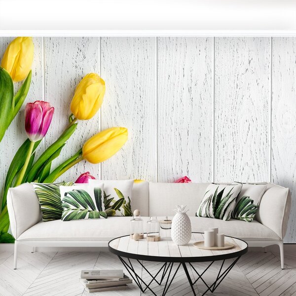 Fototapeta Vliesová Žlté tulipány 104x70 cm