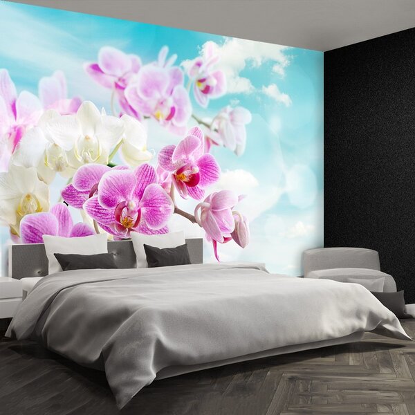 Fototapeta Vliesová Orchidey modrá 104x70 cm