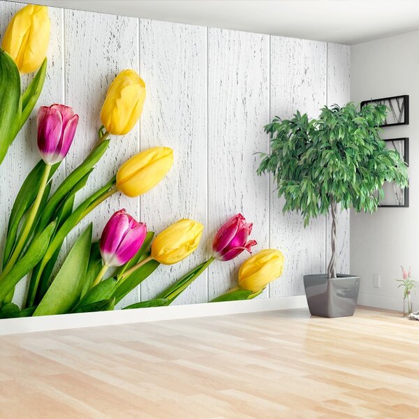 Fototapeta Vliesová Žlté tulipány 104x70 cm
