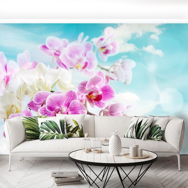 Fototapeta Vliesová Orchidey modrá 104x70 cm