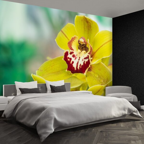 Fototapeta Vliesová Žltá orchidea 104x70 cm