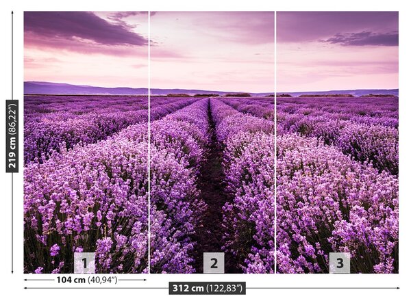 Fototapeta Vliesová Kvitnúce levandule 104x70 cm